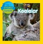 Dünyamızı Keşfedin Koalalar