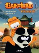 Garfield İle Arkadaşları 15 Çinde Bir Kedinin Başına Gelenler