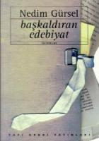 Başkaldıran EdebiyatEleştiri - İnceleme (1966-1995)