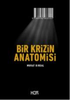 Bir Krizin Anatomisi