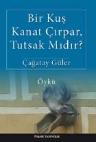 Bir Kuş Kanat Çırpar, Tutsak Mıdır