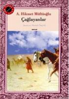 Çağlayanlar