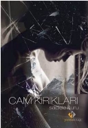 Cam Kırıkları