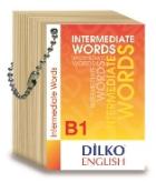 Dilko Kelime Kartı-B1