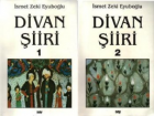 Divan Şiiri - Takım