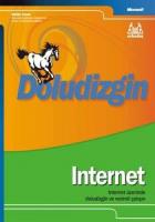 Doludizgin İnternet