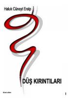 Düş Kırıntıları