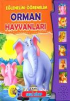 Eğlenelim-Öğrenelim Orman Hayvanları