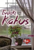 Evdeki Kabus