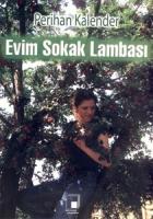 Evim Sokak Lambası