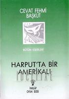 Harputta Bir Amerikalı