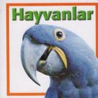 Hayvanlar