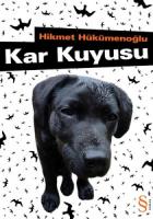 Kar Kuyusu