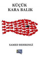 Küçük Kara Balık