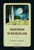 Mahcubum Ya Rasulallah!