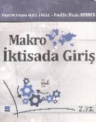 Makro İktisada Giriş