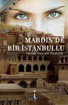 Mardinde Bir İstanbullu