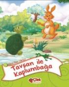 Masallar Ülkesi 10-Tavşan İle Kaplumbağa
