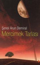 Mercimek Tarlası