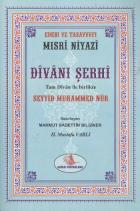 Mısri Niyazi Divanı Şerhi