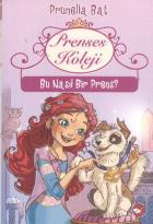 Prenses Koleji-2  Bu Nasıl Bir Prenses?