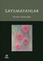 Sayılmayanlar