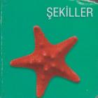 Şekiller