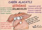 Şiirimsi Bilmeceler