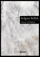 Solgun Bellek