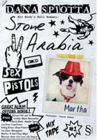 Stone Arabia Bir Rock’n Roll Romanı