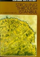 Strolling Through Istanbul A Guide To The City
