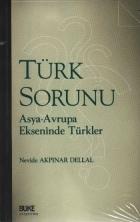 Türk Sorunu