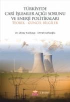 Türkiye'de Cari İşlemler Açığı Sorunu ve Enerji Politikaları-Teorik ve Güncel Bilgiler