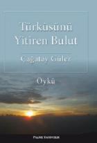 Türküsünü Yitiren Bulut