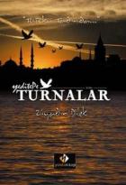 Turnalar - Türkü Tadında