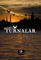 Turnalar - Türkü Tadında