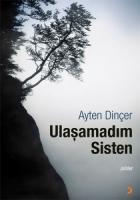 Ulaşamadım Sisten