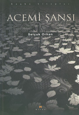 Acemi Şansı