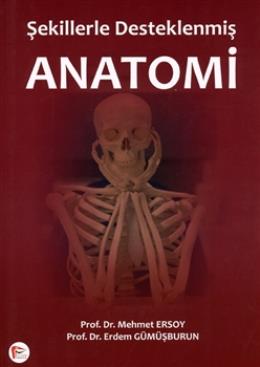 Anatomi Şekillerle Desteklenmiş