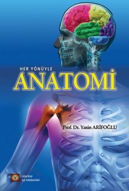 Anatomi