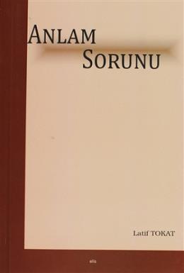 Anlam Sorunu