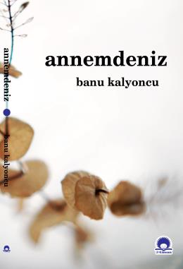 Annemdeniz