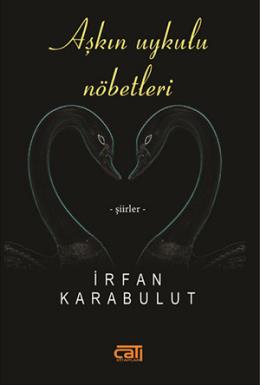 Aşkın Uykulu Nöbetleri