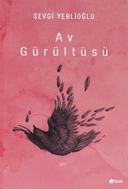 Av Gürültüsü