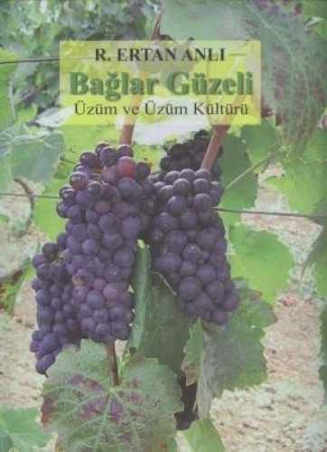 Bağlar Güzeli : Üzüm ve Üzüm Kültürü