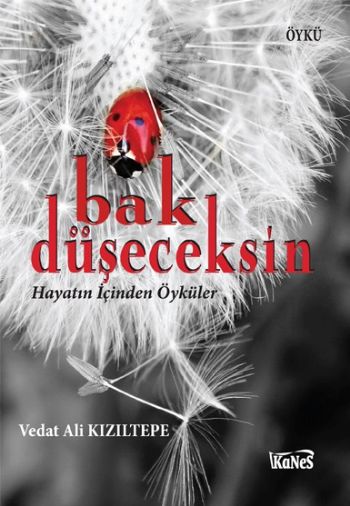 Bak Düşeceksin %17 indirimli Vedat Ali Kızıltepe