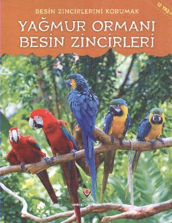 Besin Zincirlerini Korumak Yağmur Ormanı Besin Zincirleri 12 Yaş