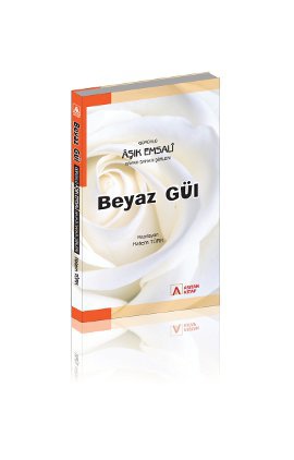 Beyaz Gül