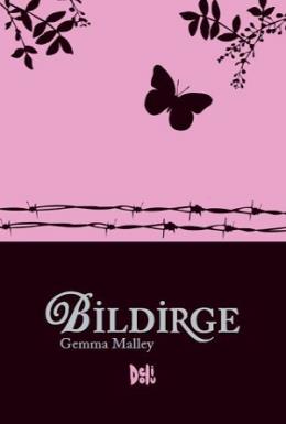 Bildirge