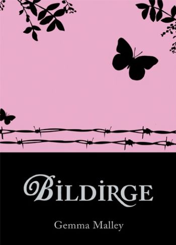 Bildirge